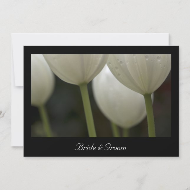 Matrimonio de tulipanes blancos / Invitación de El (Anverso)