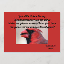 Matt 6: 26 tarjeta de felicitación cardinal