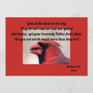 Matt 6: 26 tarjeta de felicitación cardinal