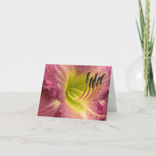 Mauve Lily Bloom bajo la lluvia - Tarjeta de felic