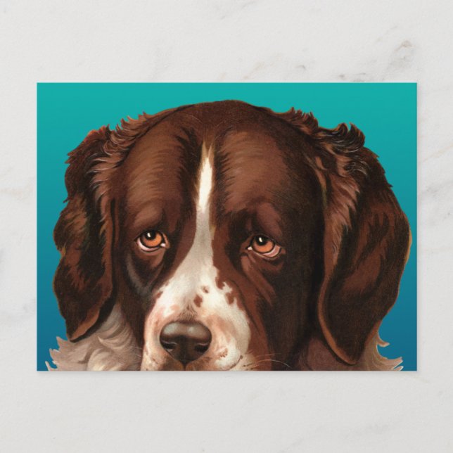 Max, la postal del perro grande (Anverso)
