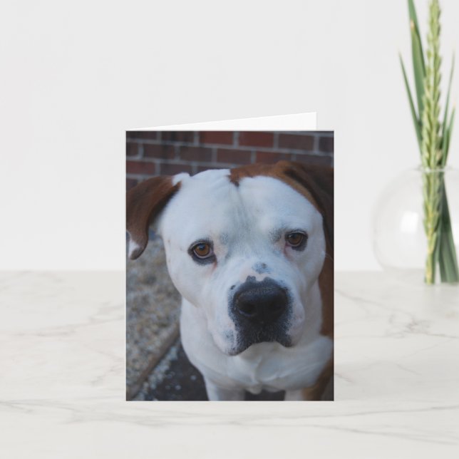 Máximo de la tarjeta de nota (Anverso)