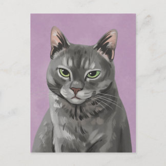 Maybelle, la postal del gato grisáceo