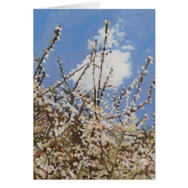 Mayflower 2012 (Frente)