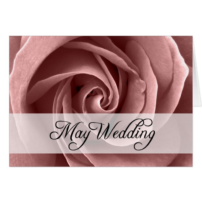 Mayo Boda : rosa de temporada : (Anverso (Horizontal))