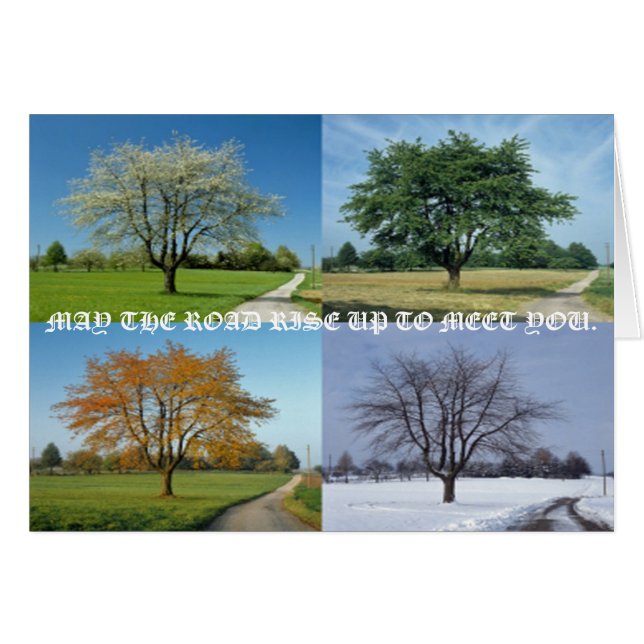 MAYO EL CAMINO SE ALZA PARA ENCONTRARLE (Anverso (Horizontal))