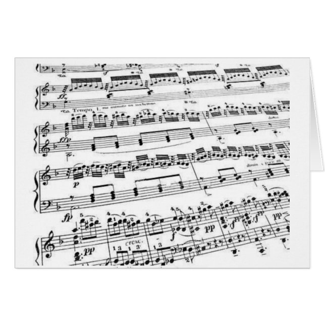 Mayor/estudiante/profesor de música (Anverso (Horizontal))