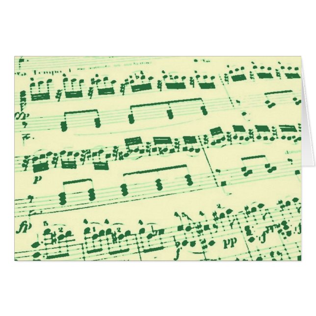 Mayor/estudiante/profesor de música (Anverso (Horizontal))