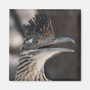 Mayor imán del Roadrunner