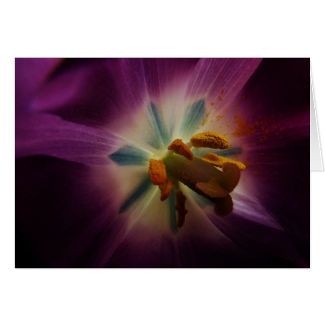 Mayor que mí (Anverso (Horizontal))