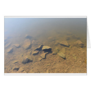 McAlpine Creek Park, Carolina del Norte, tarjeta d