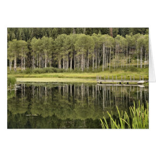 McCall Pond