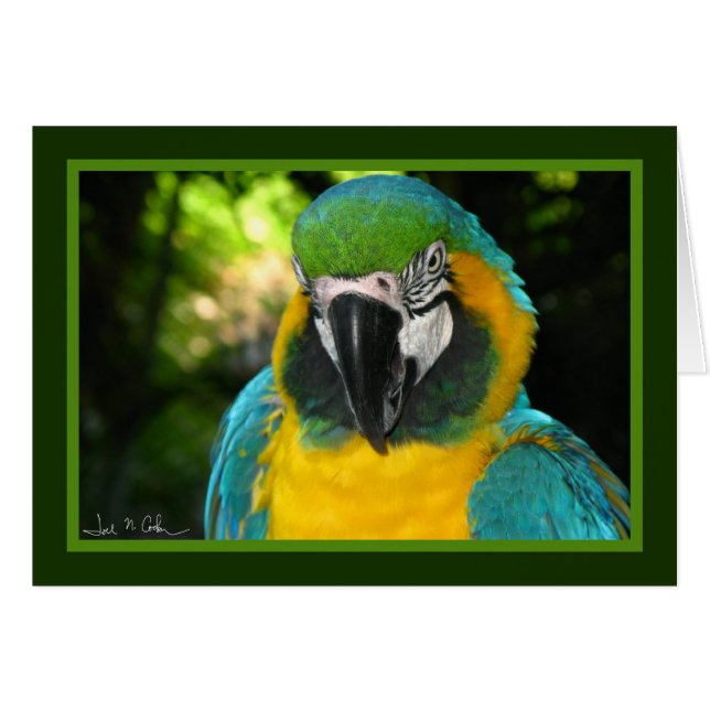 McCaw (Anverso (Horizontal))