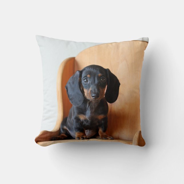 McCoy la almohada del cuadrado del Dachshund (Anverso)