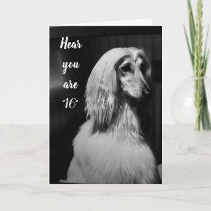 "ME ACABÓ EL PELO POR TI" TARJETA DE CUMPLEAÑOS 16