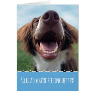 Me alegra que te sientas mejor, perro sonriente