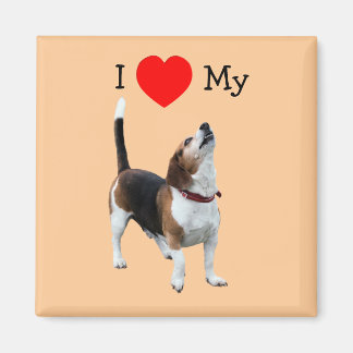Me Encanta El Corazón Mi Imán Perro Beagle