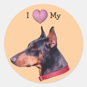 Me encanta el corazón, mi Pegatina de perro doberm