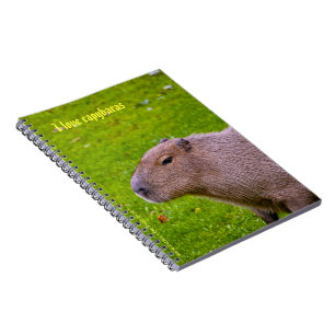 Me encanta el cuaderno de carpinchos