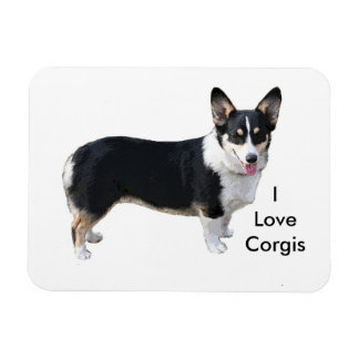 Me encanta el imán de corgis