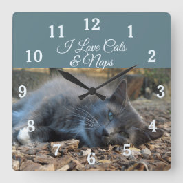 Me encanta el reloj de pared de napas y gatos