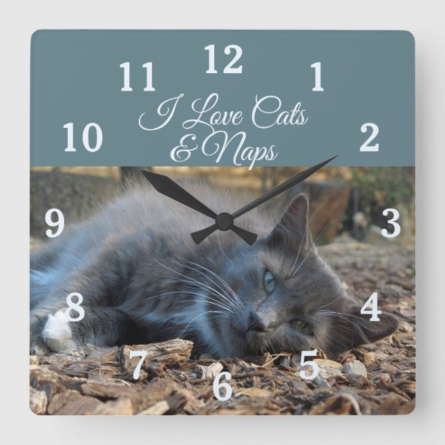 Me encanta el reloj de pared de napas y gatos (Anverso)