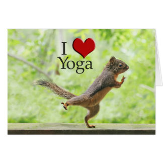 Me encanta la ardilla del yoga