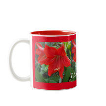 Me encanta la Copa de las Flores de Amaryllis