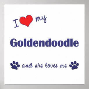 Me encanta la impresión de mi Poster Goldendoodle 