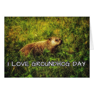 Me encanta la tarjeta de saludo de Groundhog Day