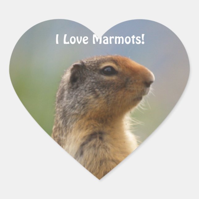 Me encanta Marmots Wildlife Photo Heart Pegatina (Anverso)