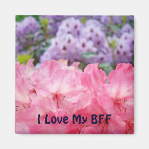 Me encanta mi imán BFF Rosa Brillante Rhodies imán