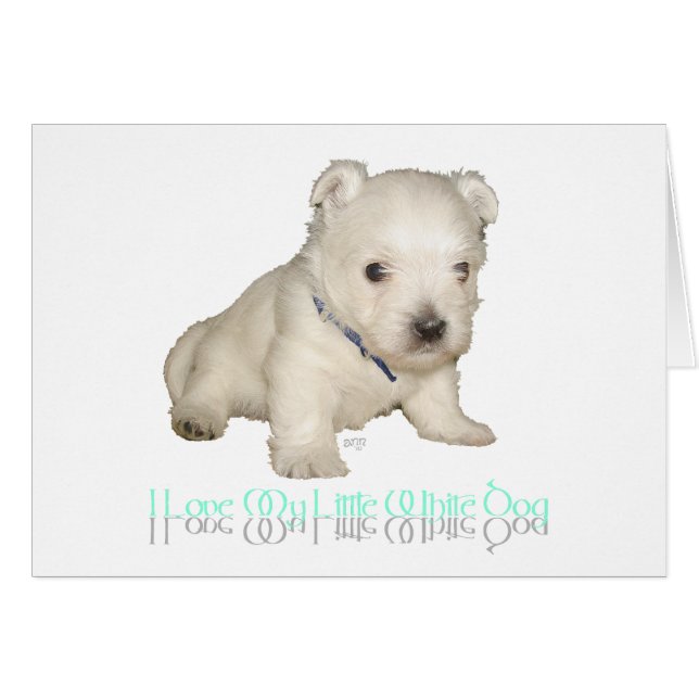 Me Encanta Mi Perro Blanco Pequeño - Cachorro West (Anverso (Horizontal))