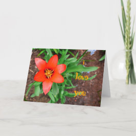 me encanta tu tarjeta de tulipán roja