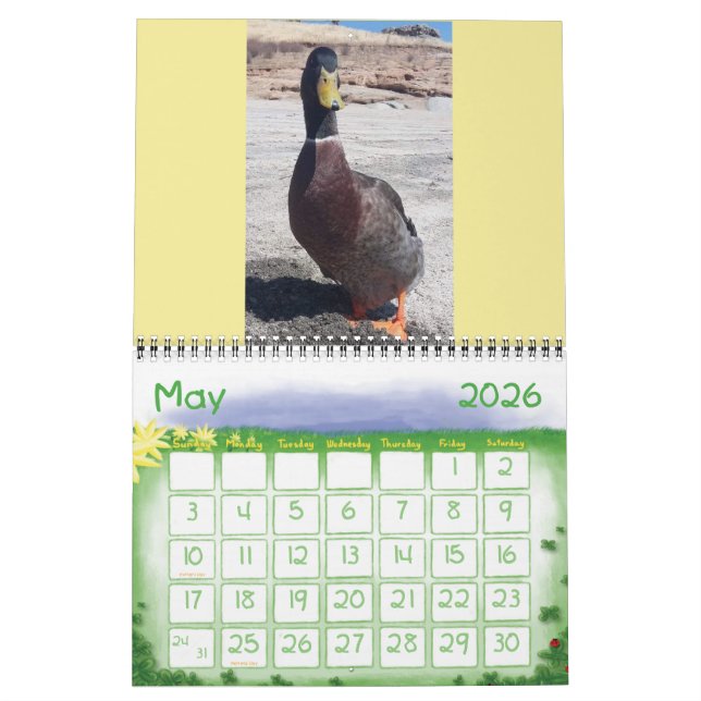 Me encantan algunos Nibbles Calendario 2019 (May 2026)