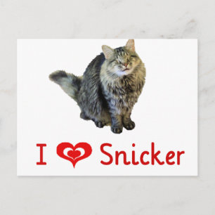 Me encantan las postales Snicker