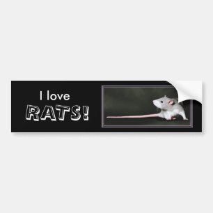 ¡Me encantan las RATAS! - pegatina para coche de r