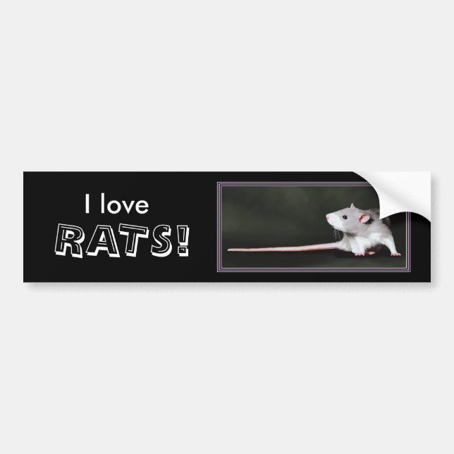 ¡Me encantan las RATAS! - pegatina para coche de r (Frente)