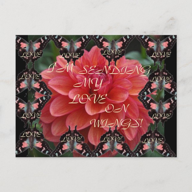 ¡ME ENCANTAN LOS ALAS! Postal (Anverso)