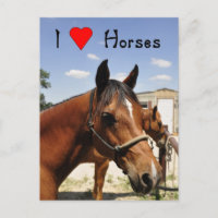 Me encantan los caballos postales occidentales
