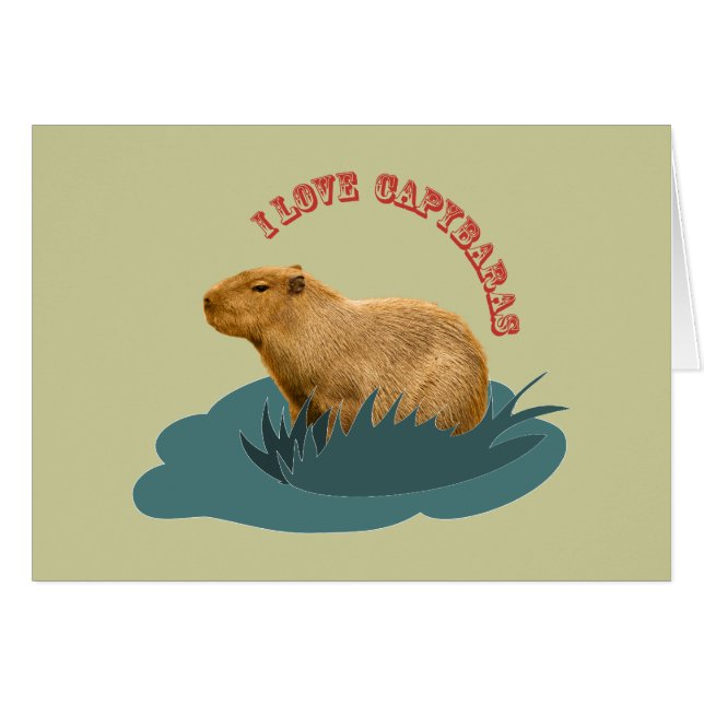 Me encantan los capibaras (Anverso (Horizontal))