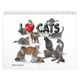 Me encantan los gatos 😻 el calendario