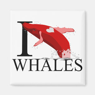 Me encantan los imanes de las ballenas