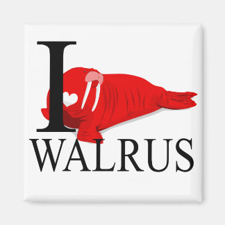 Me encantan los imanes de las Walrus