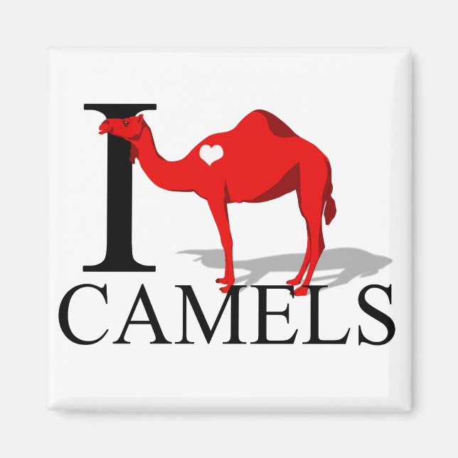 Me encantan los imanes de los camellos (Frente)