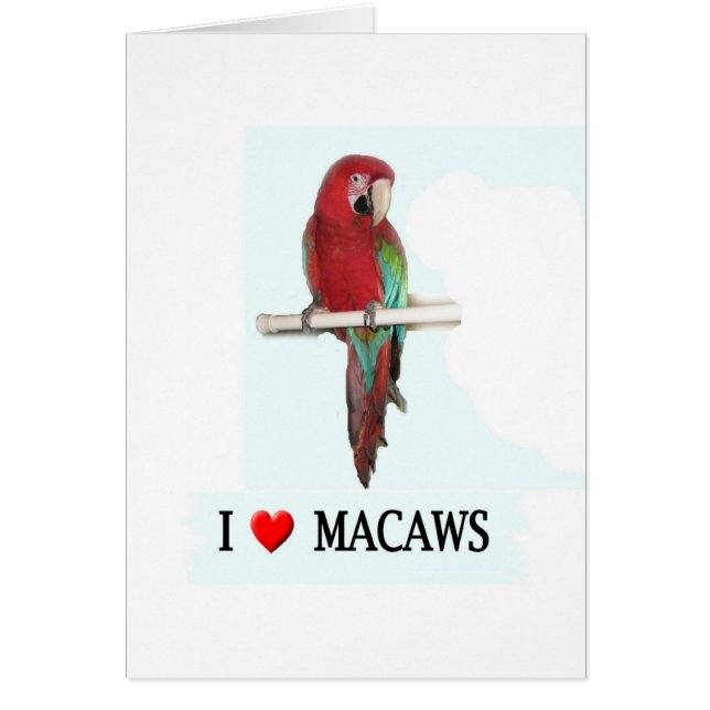Me encantan los Macaws (Frente)