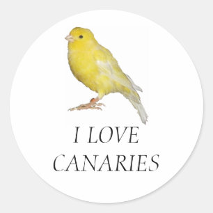 ME ENCANTAN LOS PEGATINAS CANARIOS