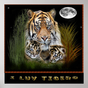 Me encantan los posters de tigres