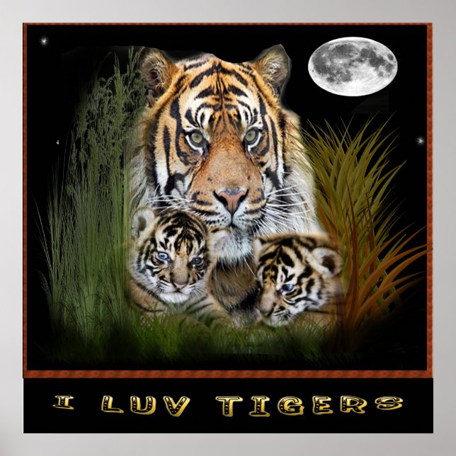 Me encantan los posters de tigres (Frente)