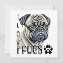 Me encantan los Pugs | Propietarios de perros call